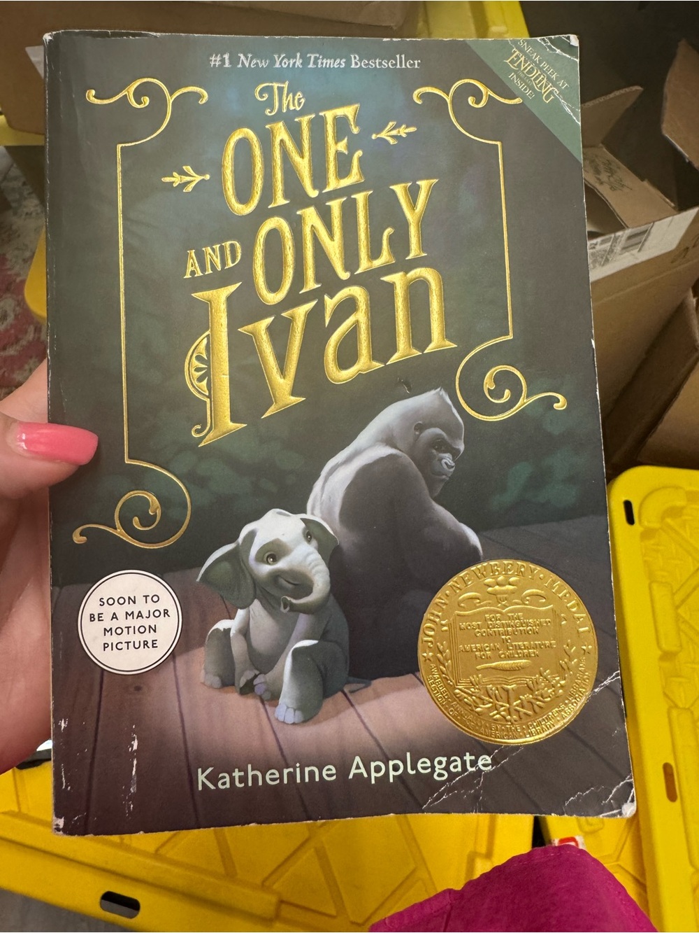 The One and Only IVAN book